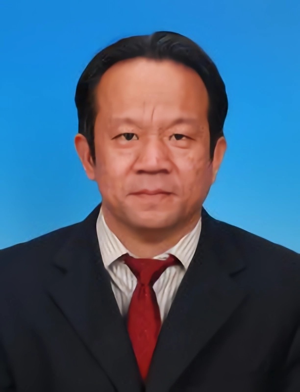 任保入